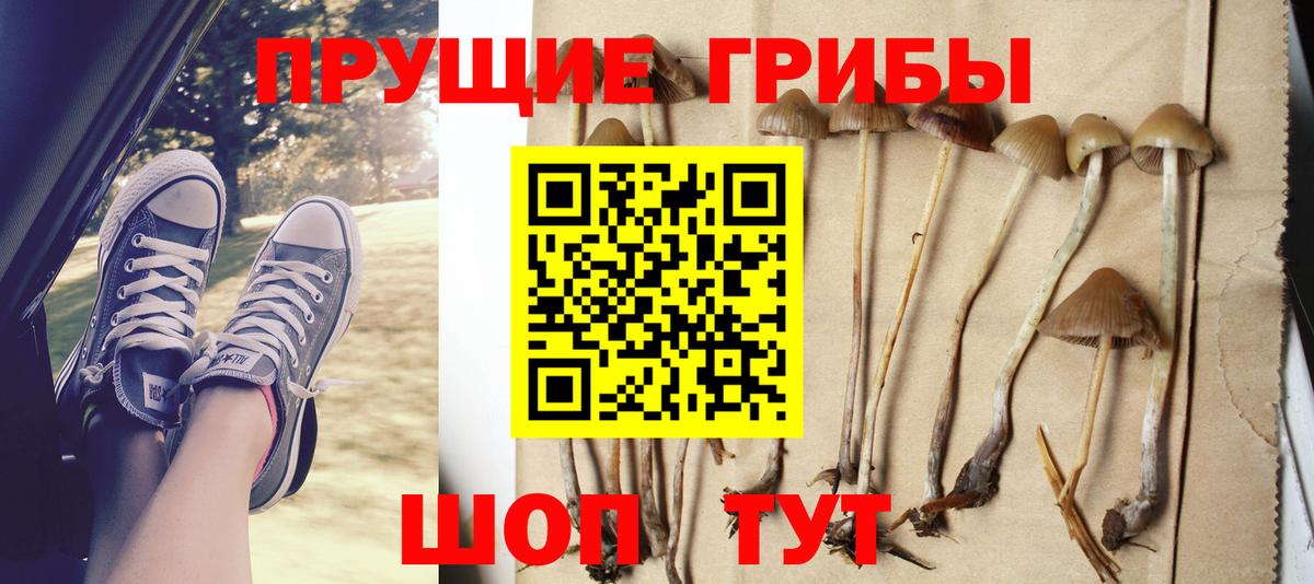 Галлюциногенные грибы мицелий Чебаркуль